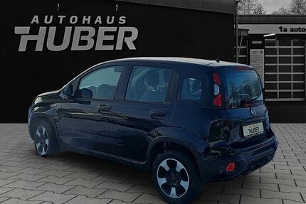 Fiat Panda Gebrauchtwagen