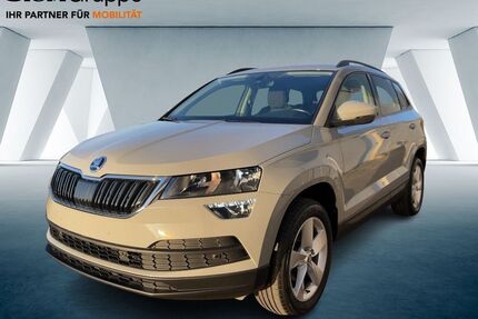 Skoda Karoq Gebrauchtwagen