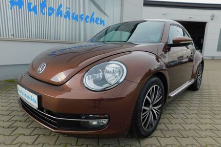 VW Beetle Gebrauchtwagen