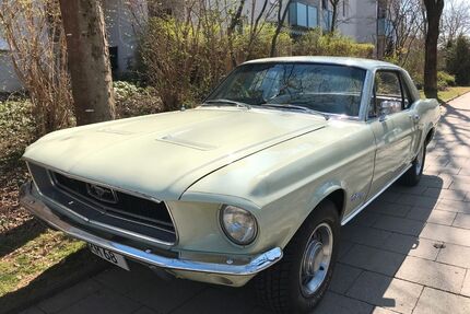 Ford Mustang Gebrauchtwagen