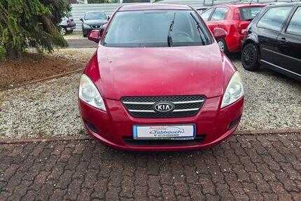 Kia ceed / Ceed Gebrauchtwagen