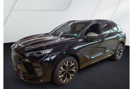 Cupra Terramar Gebrauchtwagen