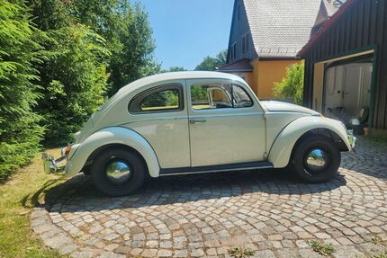 VW Käfer Gebrauchtwagen