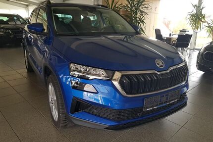 Skoda Karoq Gebrauchtwagen