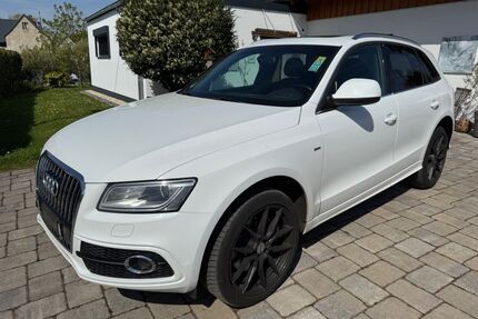 Audi Q5 Gebrauchtwagen