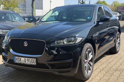 Jaguar F-Pace Gebrauchtwagen