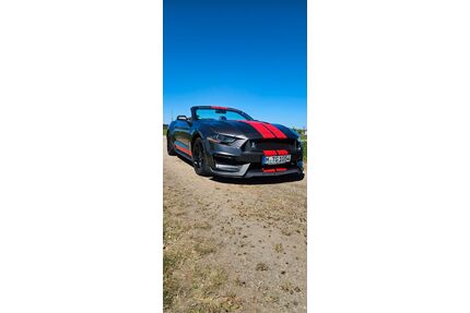 Ford Mustang Gebrauchtwagen