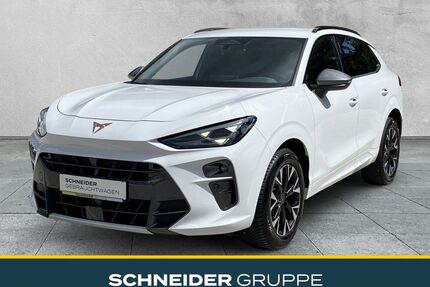 Cupra Terramar Gebrauchtwagen