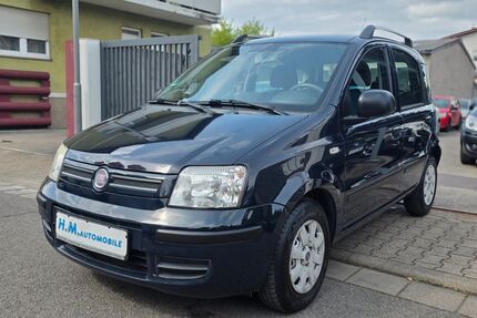 Fiat Panda Gebrauchtwagen