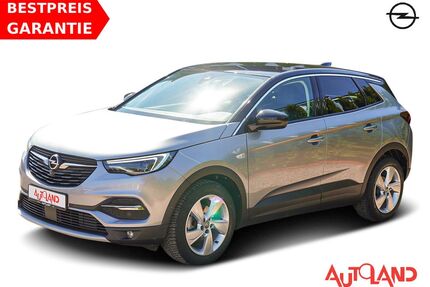 Opel Grandland (X) Gebrauchtwagen