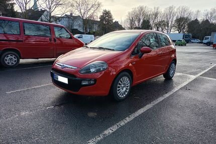 Fiat Punto Gebrauchtwagen