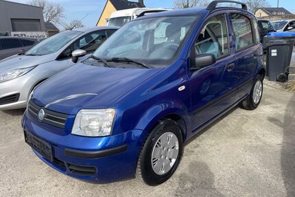 Fiat Panda Gebrauchtwagen