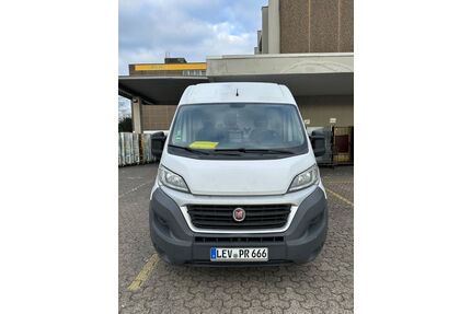 Fiat Ducato Gebrauchtwagen