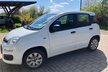 Fiat New Panda Gebrauchtwagen