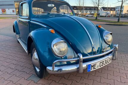 VW Käfer Gebrauchtwagen
