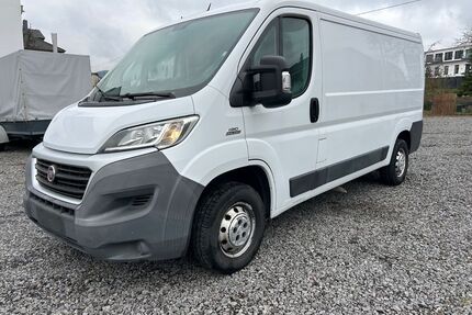 Fiat Ducato Gebrauchtwagen