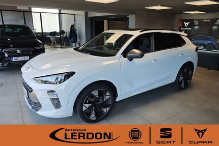 Cupra Terramar Gebrauchtwagen