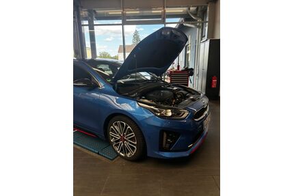 Kia pro ceed / ProCeed Gebrauchtwagen