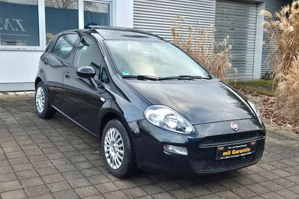 Fiat Punto Gebrauchtwagen