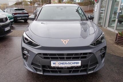 Cupra Terramar Gebrauchtwagen