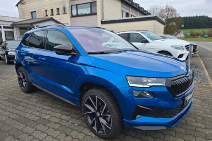 Skoda Karoq Gebrauchtwagen