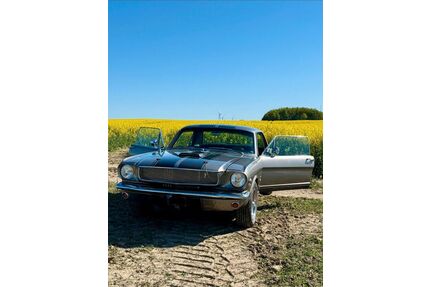 Ford Mustang Gebrauchtwagen