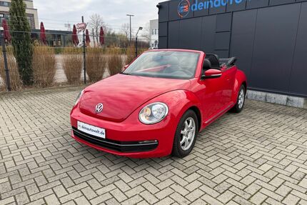 VW Beetle Gebrauchtwagen