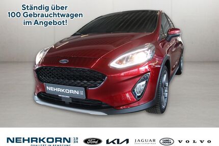 Ford Fiesta Gebrauchtwagen