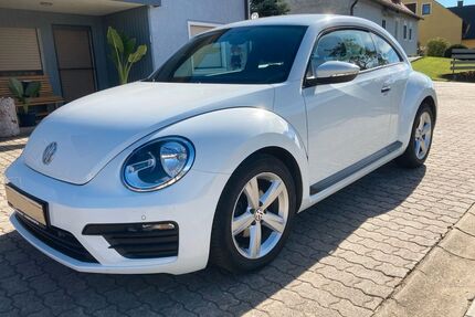 VW Beetle Gebrauchtwagen