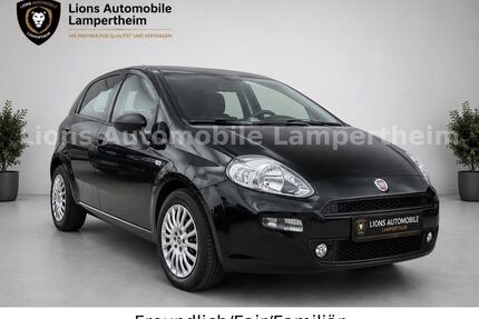 Fiat Punto Gebrauchtwagen