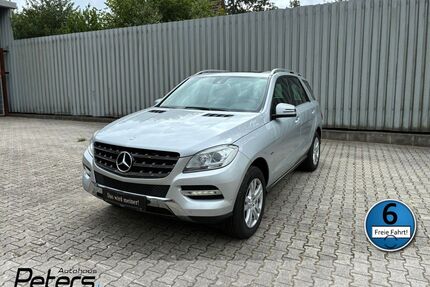 Mercedes-Benz ML 250 Gebrauchtwagen