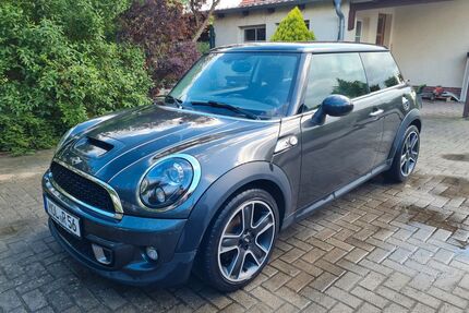 Genesis Cooper SD 