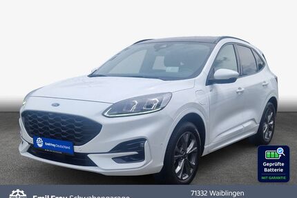 Ford Kuga Gebrauchtwagen