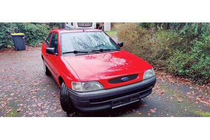 Ford Escort Gebrauchtwagen
