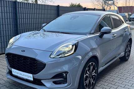 Ford Puma Gebrauchtwagen