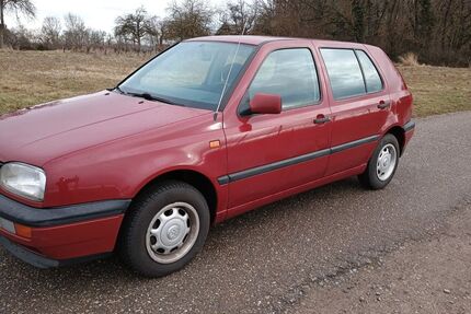 VW Golf Gebrauchtwagen