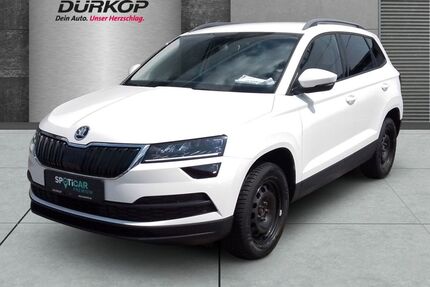 Skoda Karoq Gebrauchtwagen