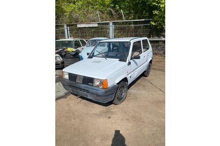 Fiat Panda Gebrauchtwagen
