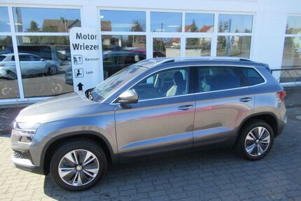 Skoda Karoq Gebrauchtwagen