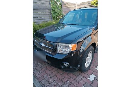Ford Escape Gebrauchtwagen