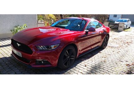 Ford Mustang Gebrauchtwagen