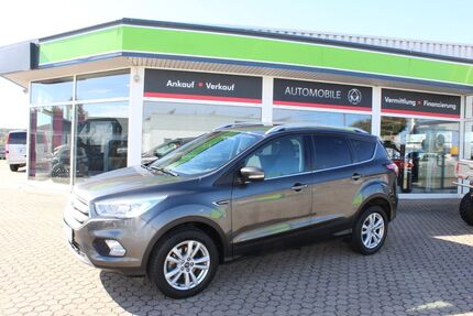 Ford Kuga Gebrauchtwagen