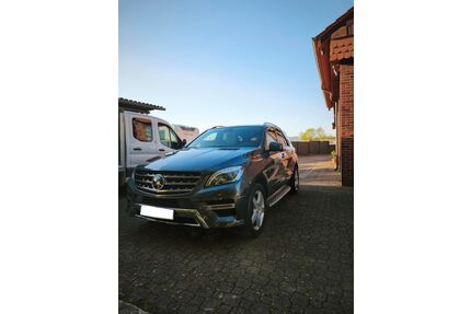 Mercedes-Benz ML 500 Gebrauchtwagen