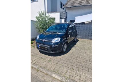 Fiat Panda Gebrauchtwagen