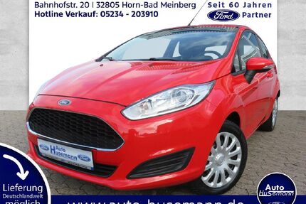 Ford Fiesta Gebrauchtwagen