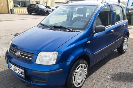 Fiat Panda Gebrauchtwagen
