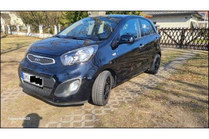 Kia Picanto Gebrauchtwagen
