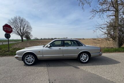 Jaguar XJ8 Gebrauchtwagen