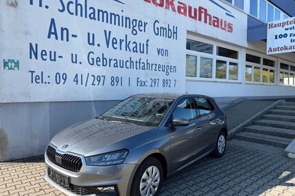 Skoda Fabia Gebrauchtwagen