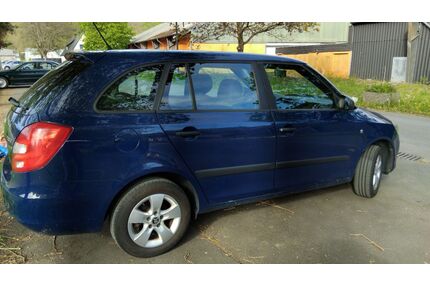 Skoda Fabia Gebrauchtwagen
